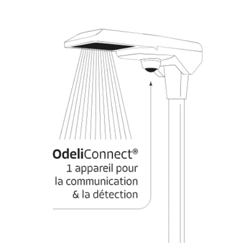 Design sans titre(19).webp