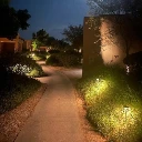 Mushroom ambiance ZUlal.webp