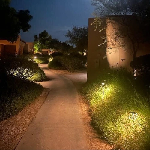 Mushroom ambiance ZUlal.webp