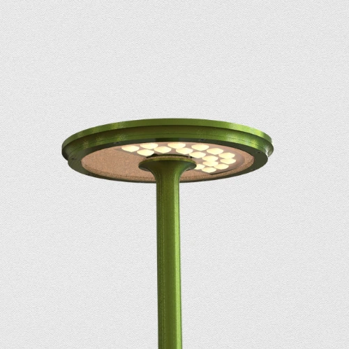 mushroom hauteur(6).webp