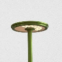 mushroom hauteur(6).webp