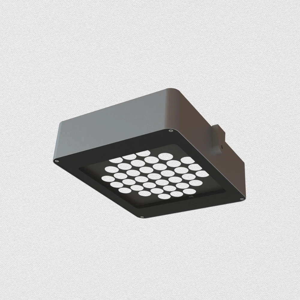 QUASAR Intensif.webp