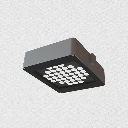 QUASAR Intensif.webp
